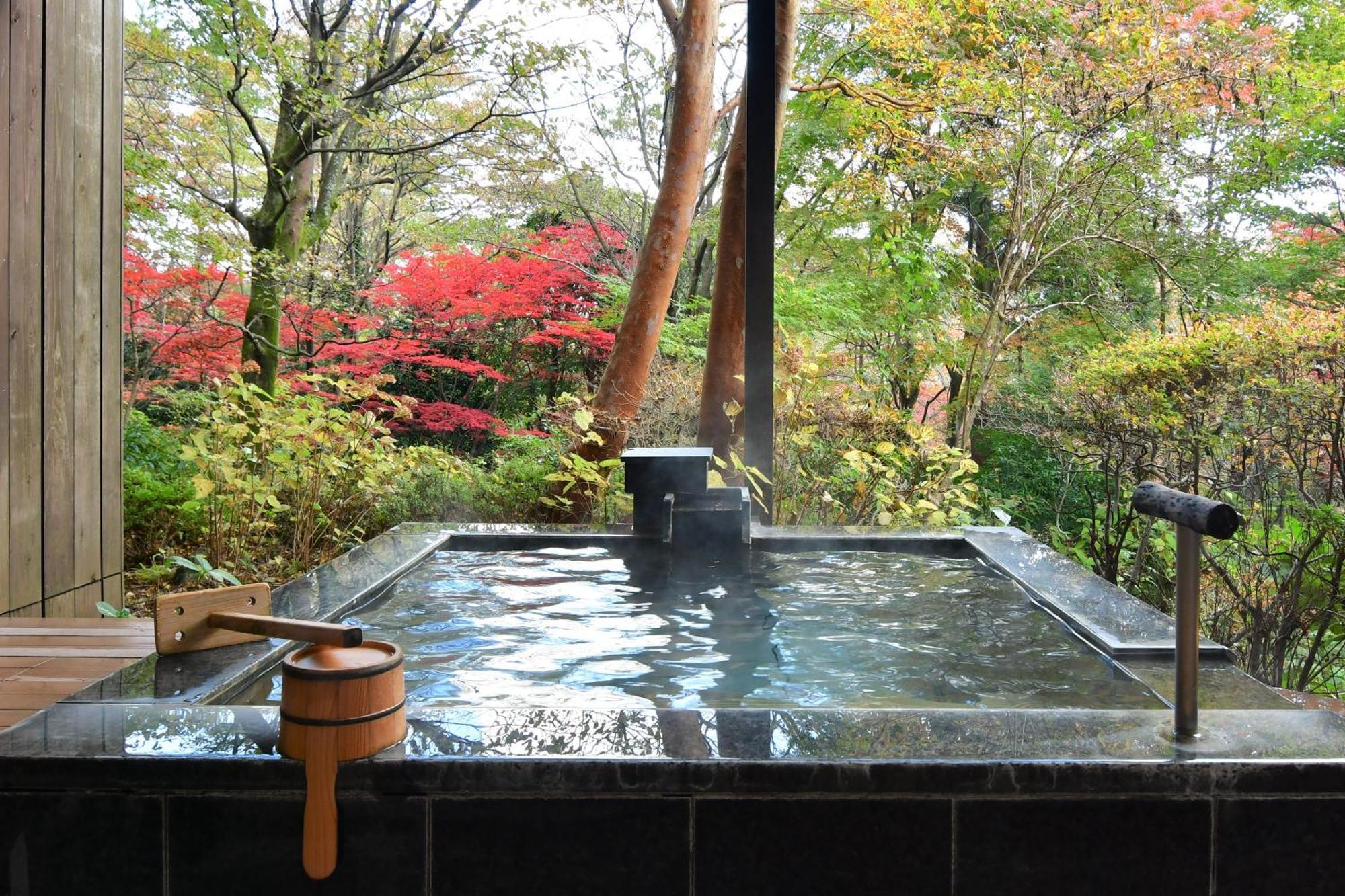 Hotel Hakone Gora Byakudan Extérieur photo